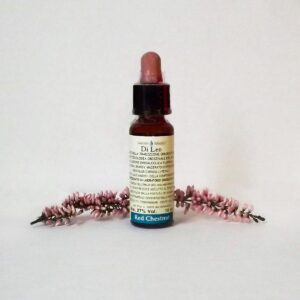 RED CHESTNUT