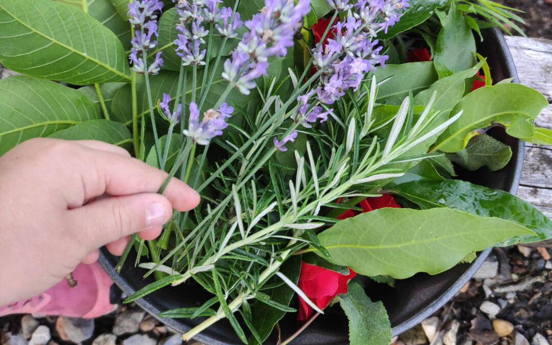 Acqua di San Giovanni