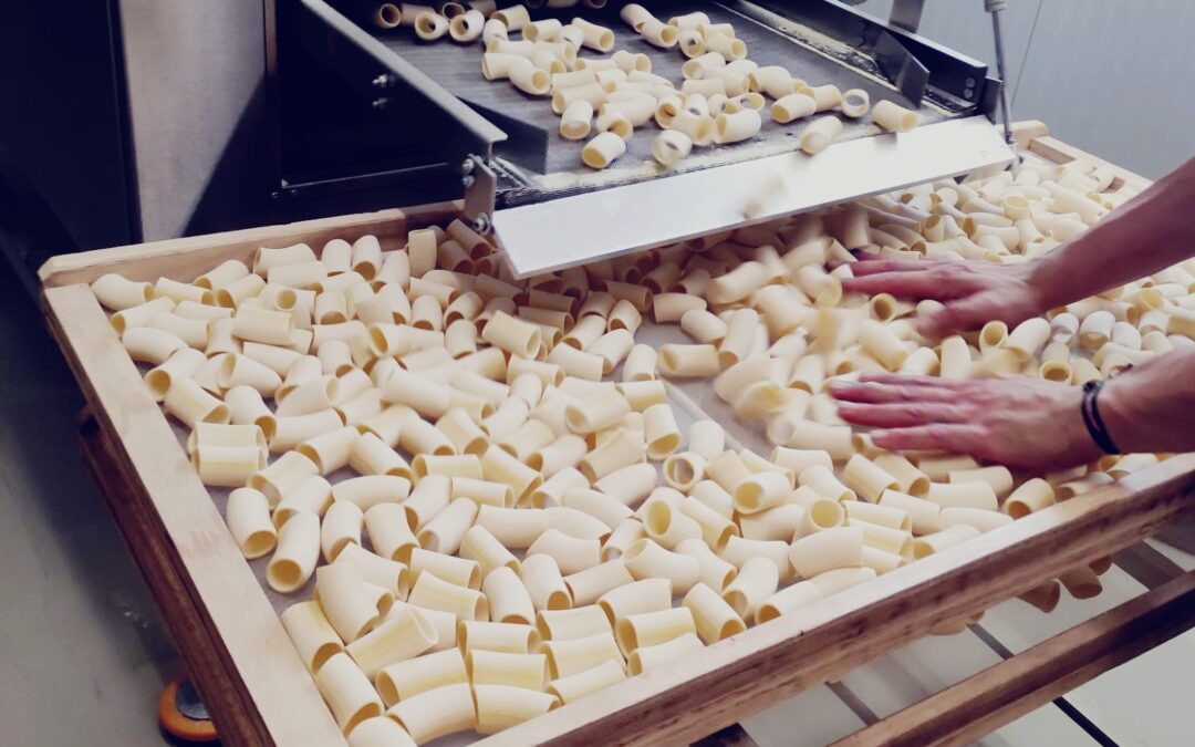 L’oro lucano, la pasta